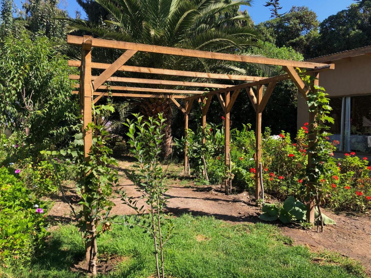El Arbol Eco Lodge 拉塞雷纳 外观 照片