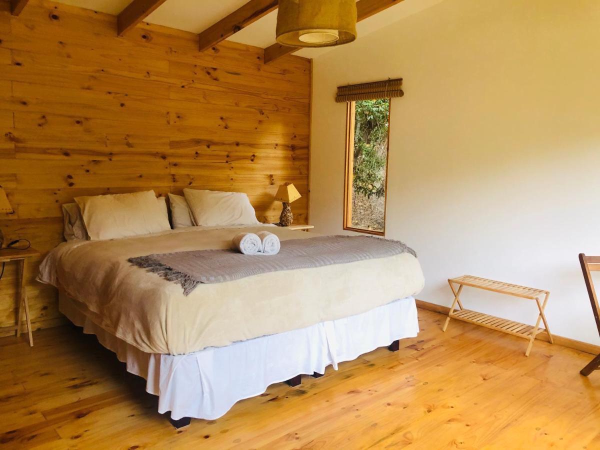 El Arbol Eco Lodge 拉塞雷纳 外观 照片