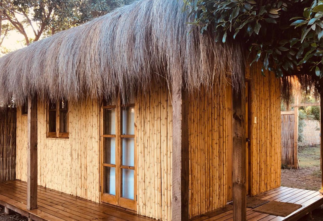 El Arbol Eco Lodge 拉塞雷纳 外观 照片