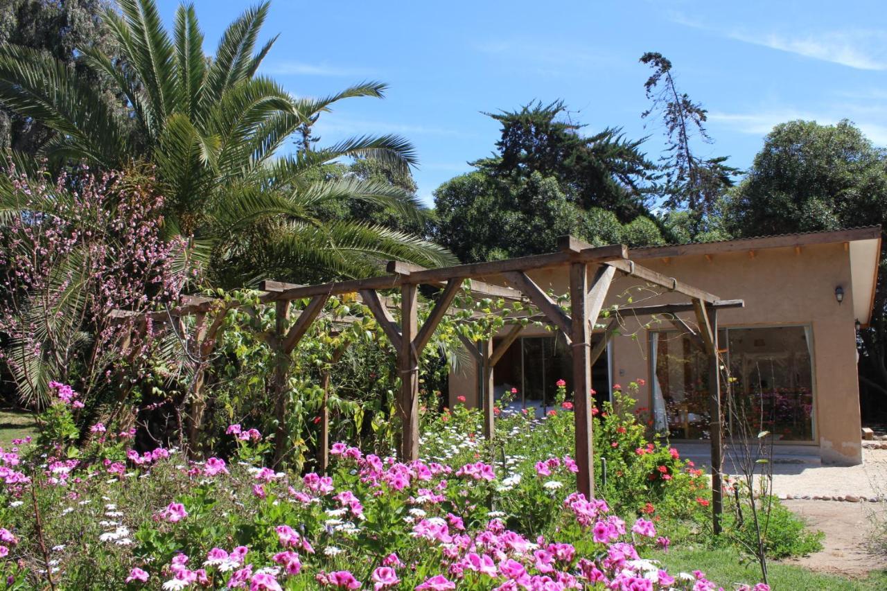 El Arbol Eco Lodge 拉塞雷纳 外观 照片