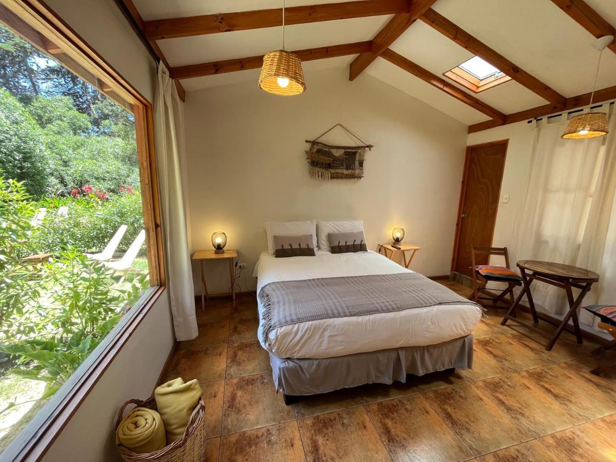 El Arbol Eco Lodge 拉塞雷纳 外观 照片
