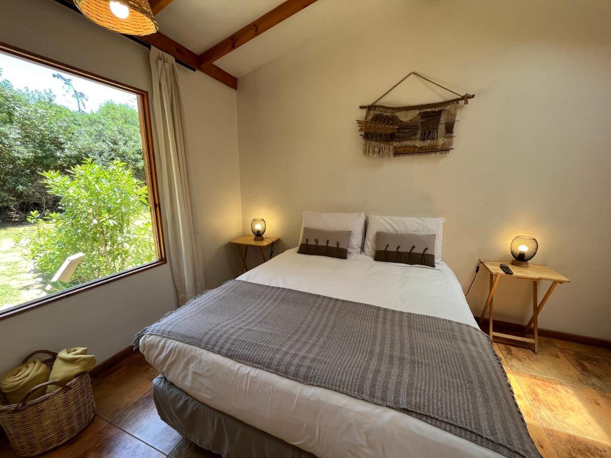El Arbol Eco Lodge 拉塞雷纳 外观 照片