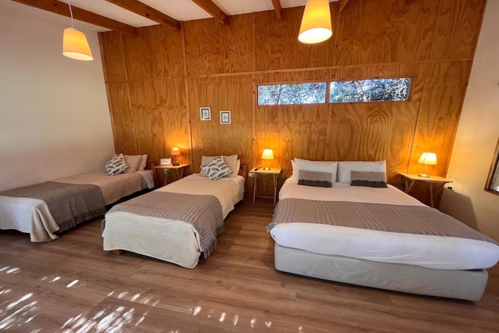 El Arbol Eco Lodge 拉塞雷纳 外观 照片