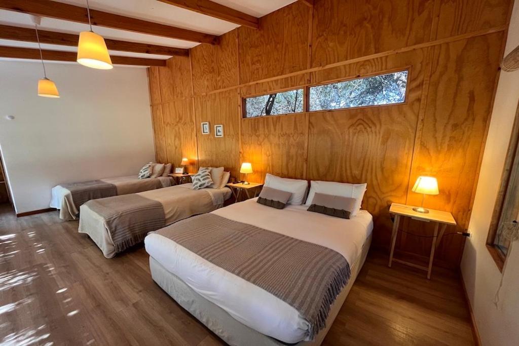 El Arbol Eco Lodge 拉塞雷纳 外观 照片