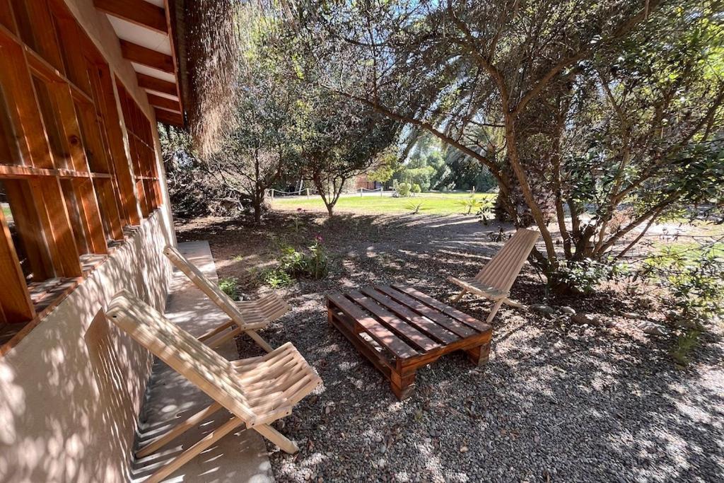El Arbol Eco Lodge 拉塞雷纳 外观 照片
