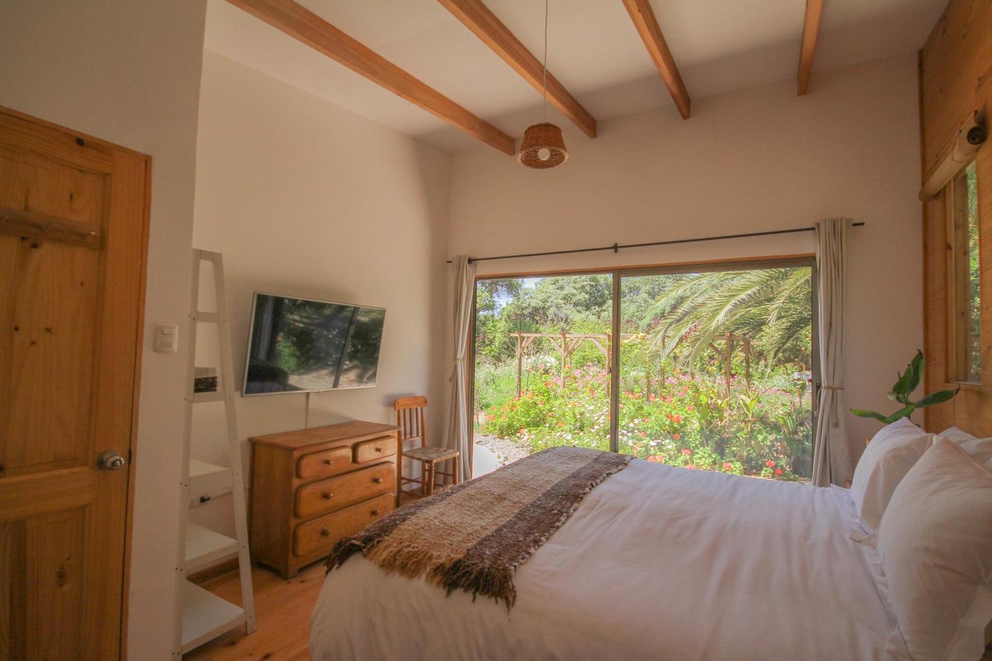 El Arbol Eco Lodge 拉塞雷纳 外观 照片