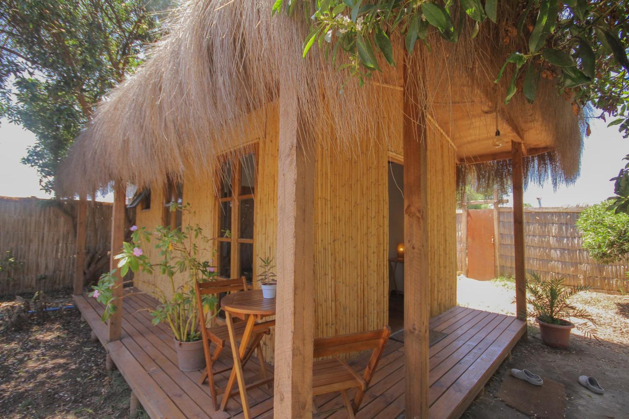 El Arbol Eco Lodge 拉塞雷纳 外观 照片