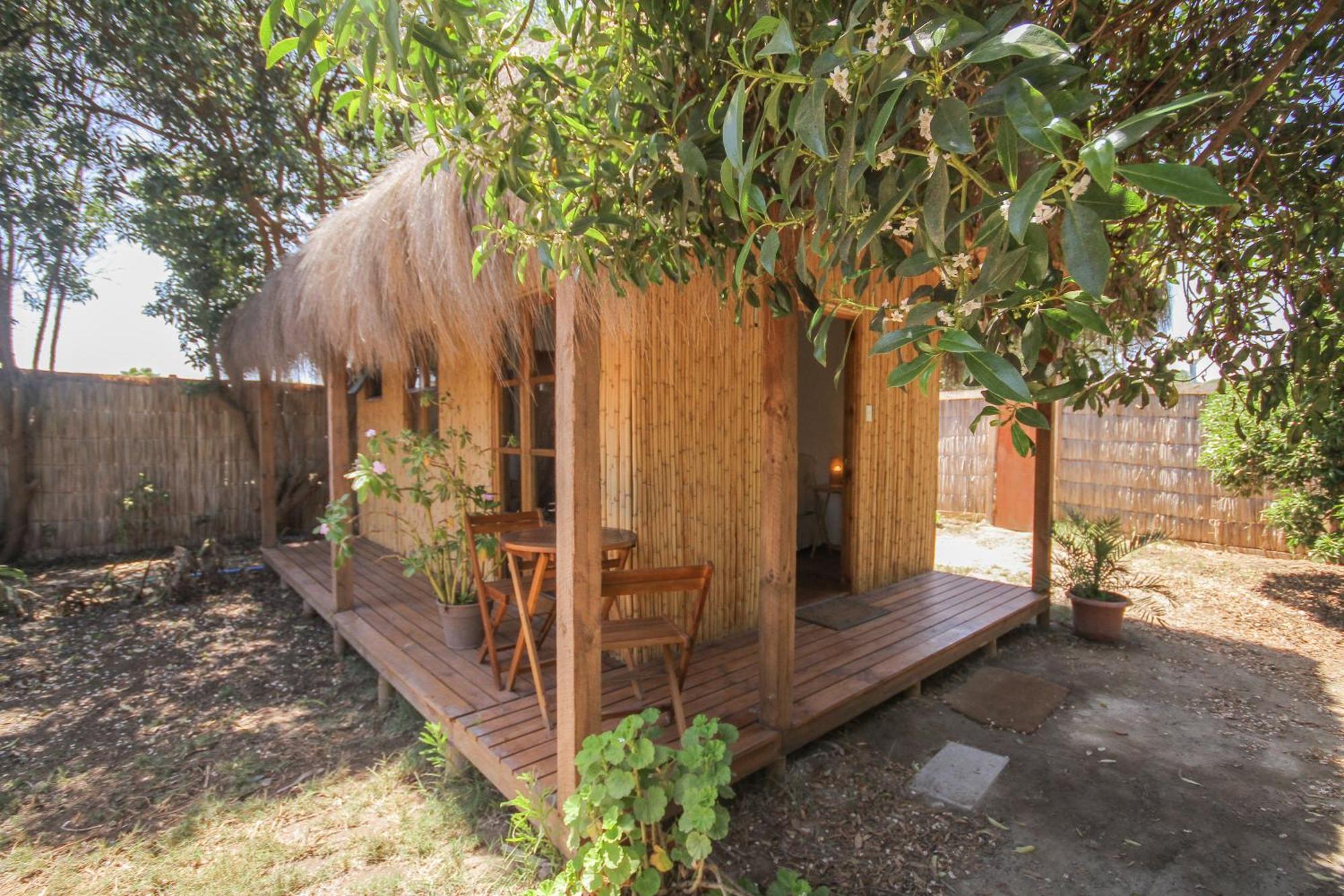 El Arbol Eco Lodge 拉塞雷纳 外观 照片