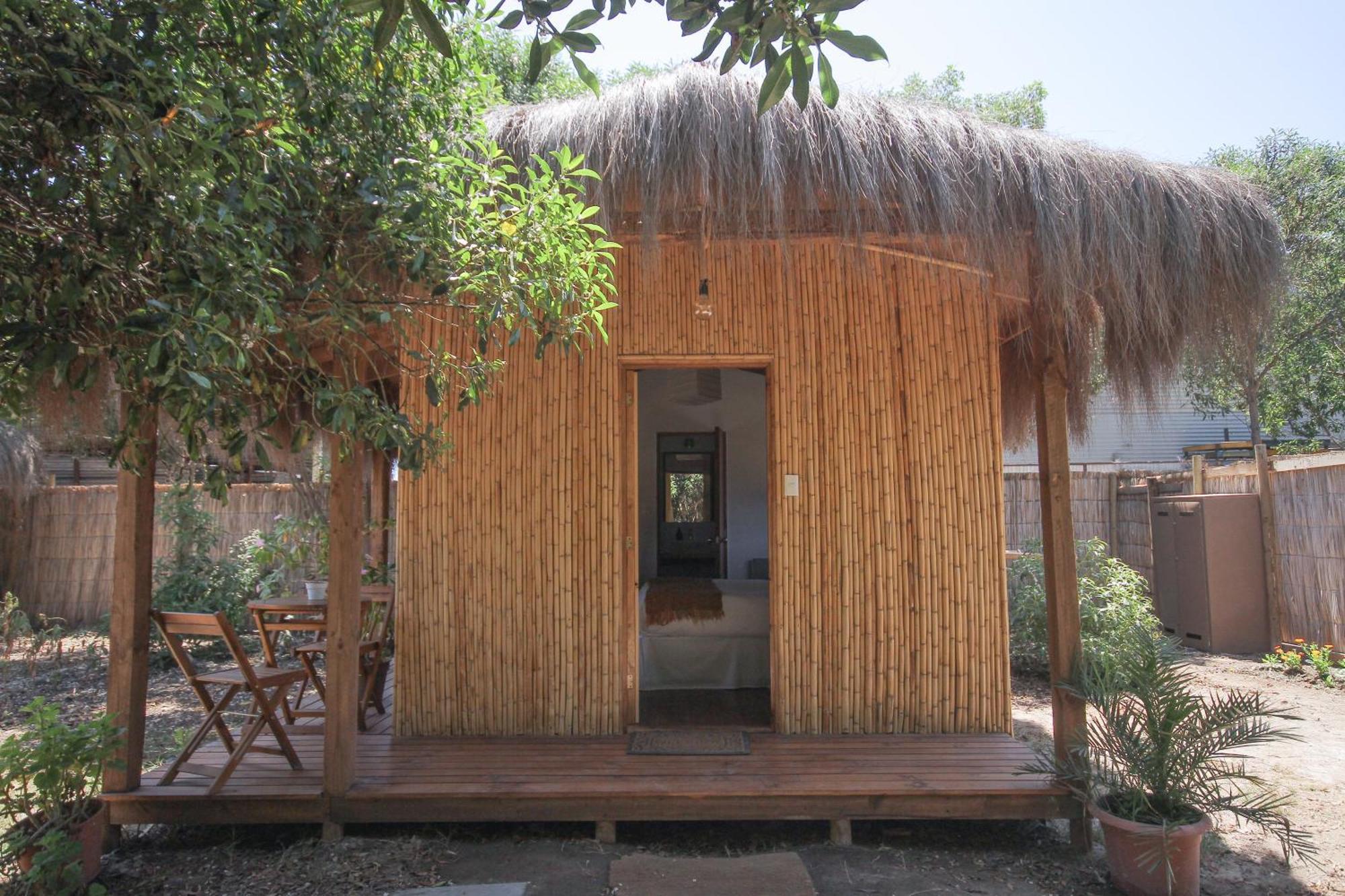 El Arbol Eco Lodge 拉塞雷纳 外观 照片