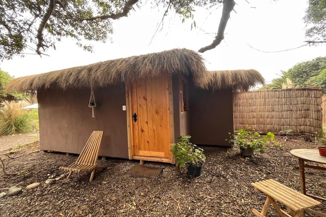 El Arbol Eco Lodge 拉塞雷纳 外观 照片