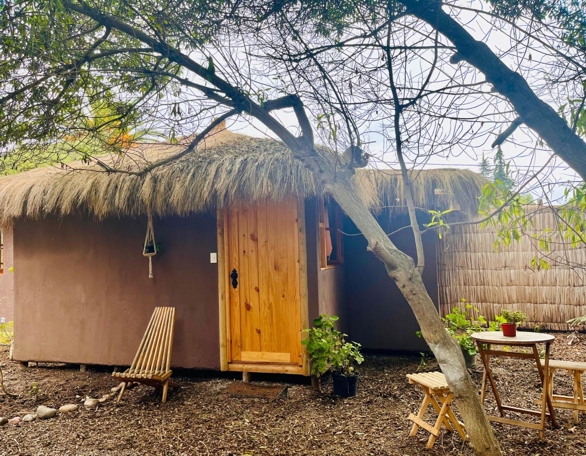 El Arbol Eco Lodge 拉塞雷纳 客房 照片