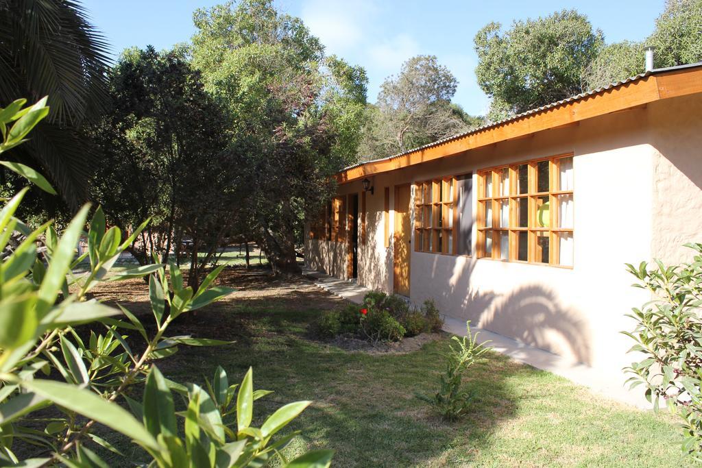 El Arbol Eco Lodge 拉塞雷纳 外观 照片